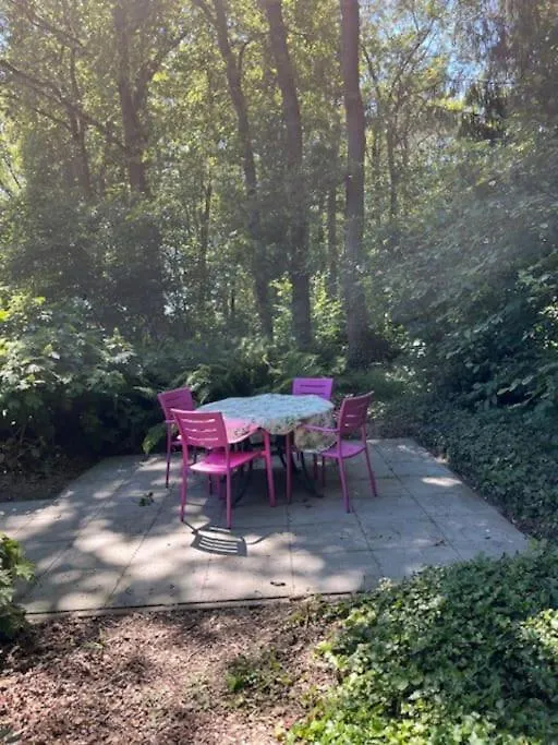 Vakantiewoning De Stevert Villa Steensel 0*,