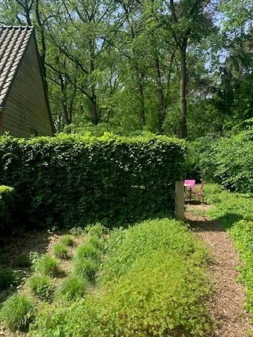 Vakantiewoning De Stevert Villa Steensel Holiday home