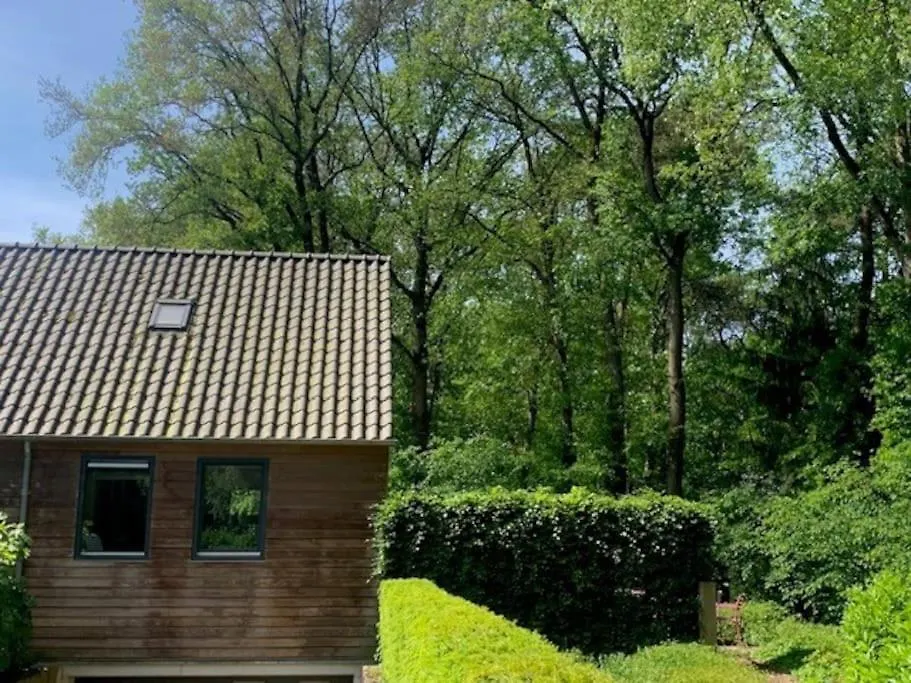 Vakantiewoning De Stevert Villa Steensel Netherlands